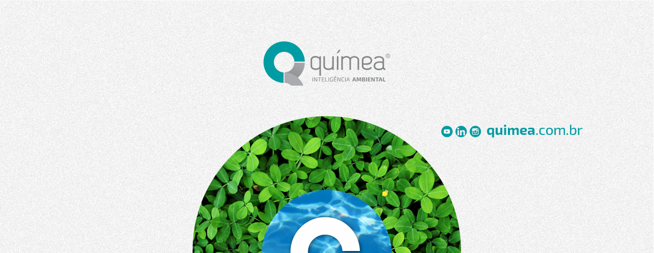 Logo de Químea